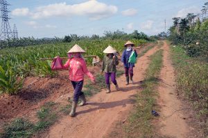 khesanh_field_workers